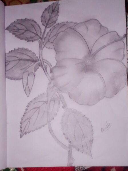 പ്രമാണം:44055 1223.jpeg