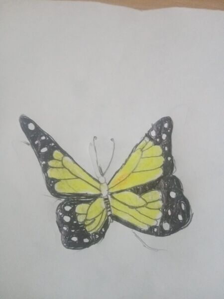 പ്രമാണം:44055 butterfly14.jpeg