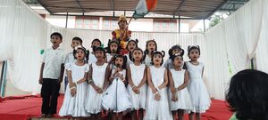 47026-stghssv-Independence day12.jpg