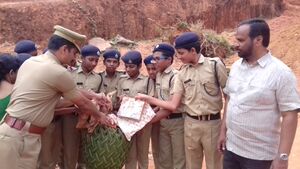 Nochat Hss 47110 2.jpg