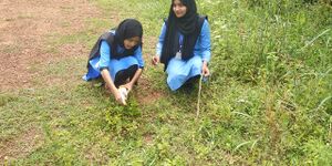 11010 Group project.jpeg