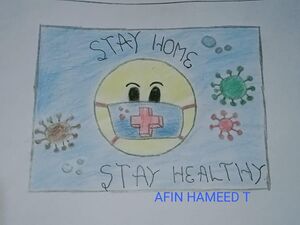 18061-T.AFIN HAMEED.jpg