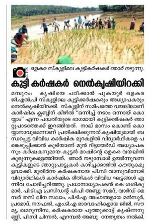 19833-Nellu start 2022 23 12.jpg