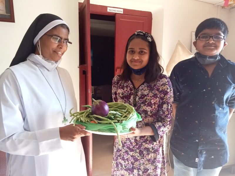 പ്രമാണം:29040 veg3.jpg