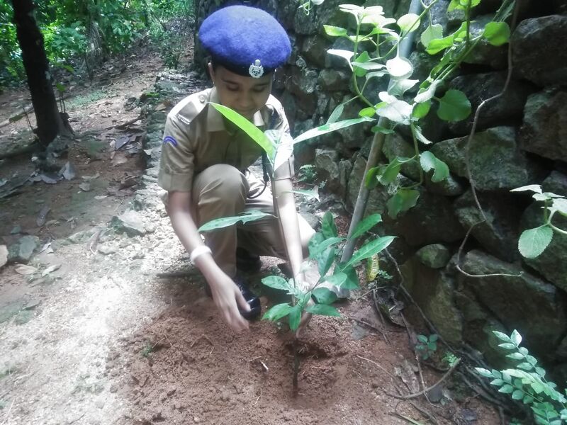 പ്രമാണം:32025 Eco.jpg