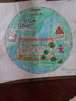 32047-Sumin std5.jpeg