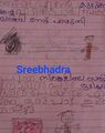Sreebhadra