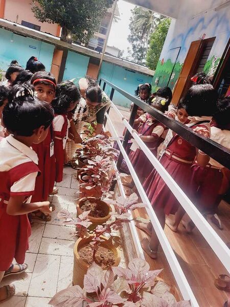 പ്രമാണം:44220 eco 4.jpg