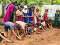 20:36, 12 ജൂൺ 2026-ലെ പതിപ്പിന്റെ ലഘുചിത്രം
