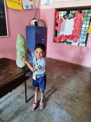 TSR 22071 GREENSTUFF ARNAV.jpg