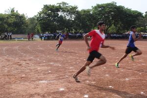 കായികമേള 2019 25.JPG