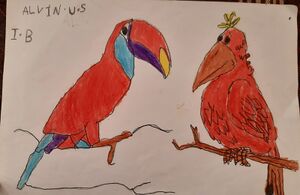 13661-KNR-KUNJ-ALWIN US.jpg