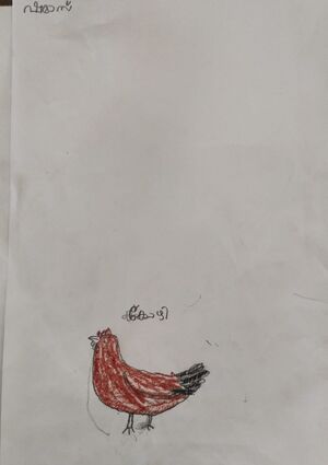 15056-WYD-KUNJ-MUHAMMED SHAMAS N M.jpeg