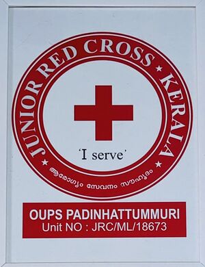18673REDCROSS.jpg