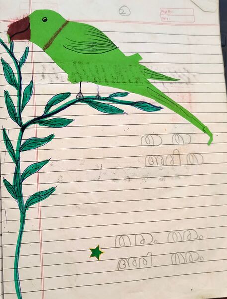 പ്രമാണം:19504-MLP-ASYISHA HANIYA-jpeg.jpg