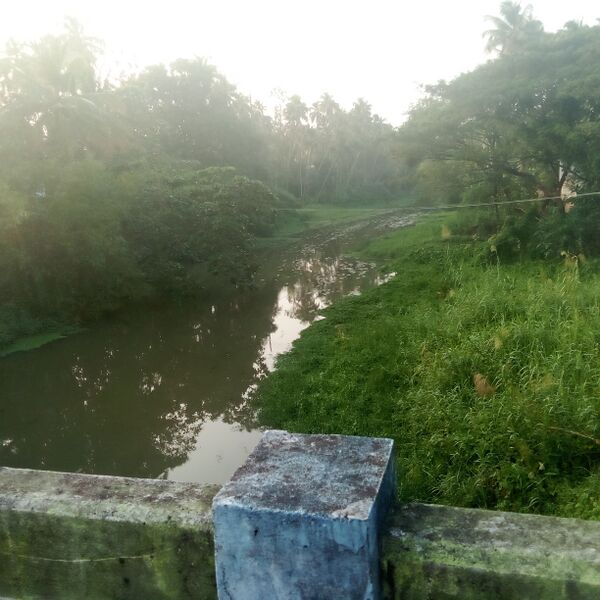 പ്രമാണം:22074 manaly river.jpg