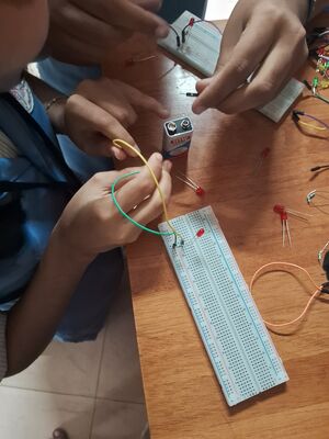 23008-little kites57.jpg