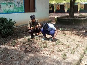 23033 GHS KUZHUR-MAKING GARDEN.jpg