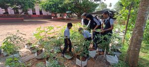 23045-Garden students.jpeg