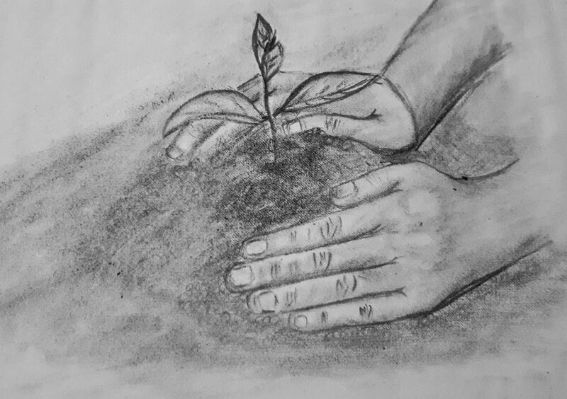 പ്രമാണം:32025 mareena 1 1st.jpg