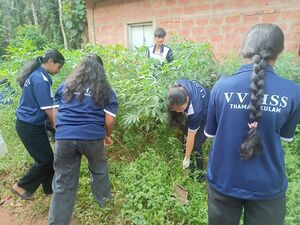 36035 gandhi jayanthi4.jpg