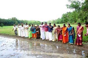 41011 agriculture.jpg