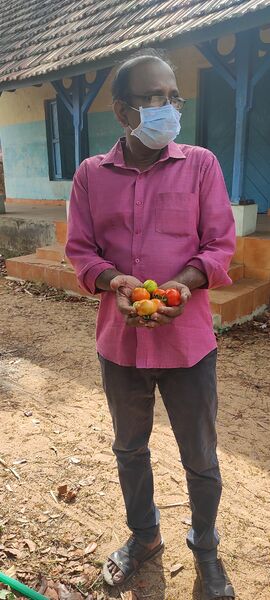 പ്രമാണം:41069 veg4.jpg