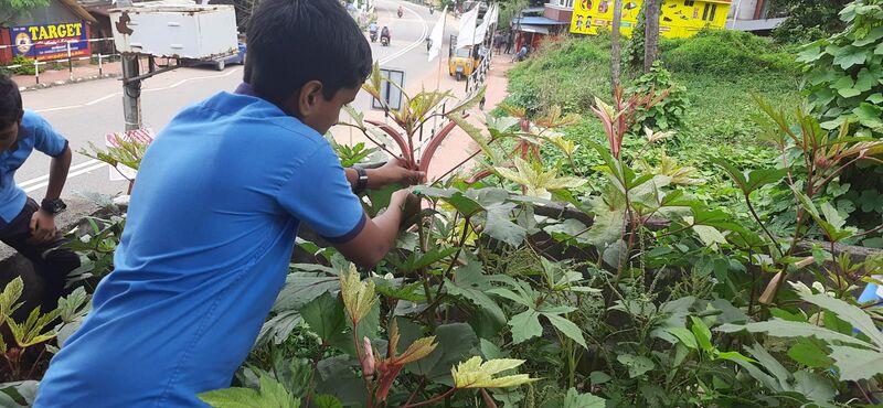 പ്രമാണം:43453-club activity 3.jpg