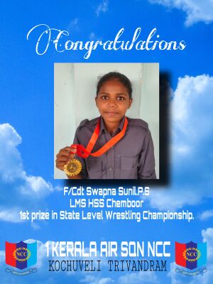 44066 wrestling.jpeg