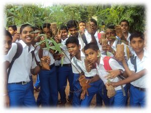 Environmentday 16 35052 1.jpg