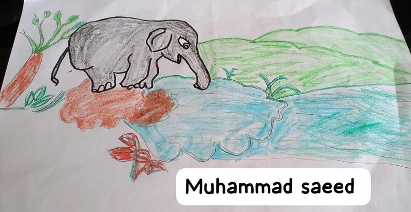 പ്രമാണം:Muhammed saeed.jpg