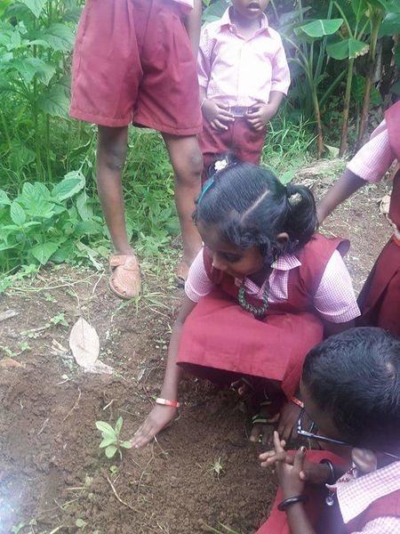 പ്രമാണം:PV 1.jpg