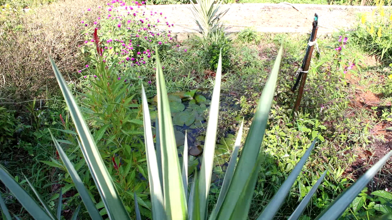 പ്രമാണം:Screenshot from 2022-01-28 15-06-19.png