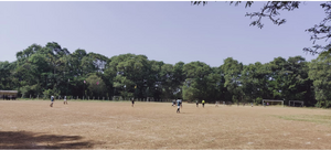 08060 SCHOOLGROUND.png