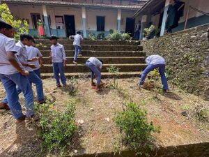 12029 kgd lk24-27-2025envtday6.jpeg