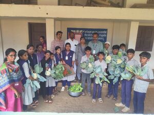 15088 veg vilavedupp 5 24.jpg