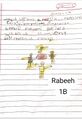 AHMED RABEEH U P 1 B