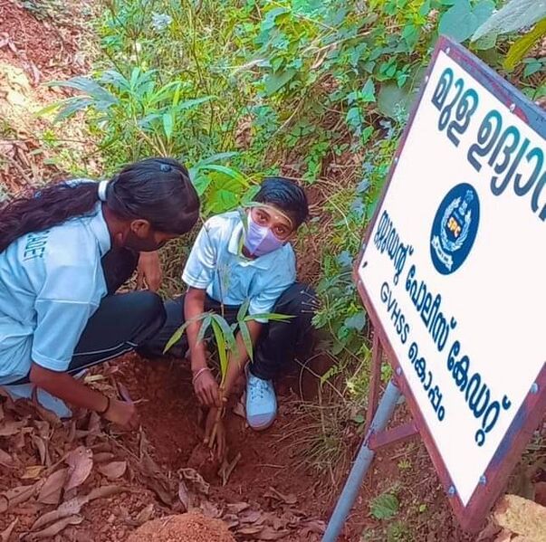 പ്രമാണം:20015 SPC5.jpeg