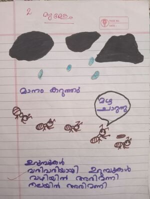 24404-TSR-KUNJ-M NAFIH1.jpg