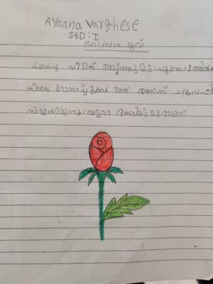 26091-EKM-KUNJ-AYAANA VARGHESE3.jpg