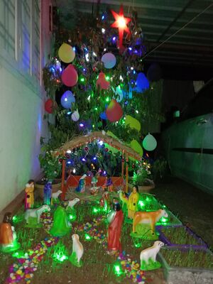30013 Christmas6.jpeg
