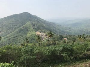 30046 Ente Gramam .jpg