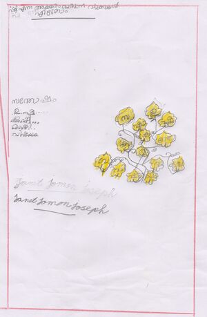 32423-KTM-KUNJ-JANET JOMON JOSEPH.jpg