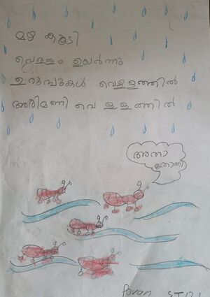 33371-KTM-KUNJ-PAVAN P PRAMOD.jpeg