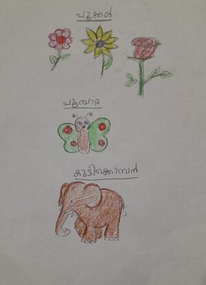 35211-ALP-KUNJ-FEBIN THOMAS.jpeg.jpg