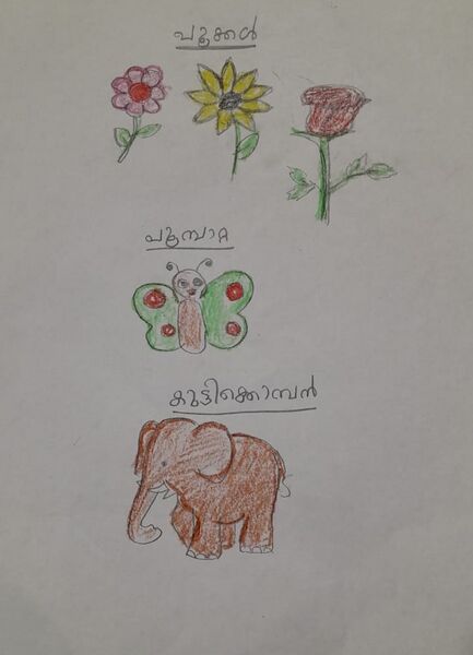 പ്രമാണം:35211-ALP-KUNJ-FEBIN THOMAS.jpeg.jpg