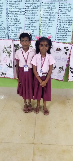 44539 Science collection.jpg