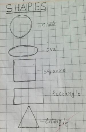 45034-KTM-KUNJ-Richu Benny.jpg