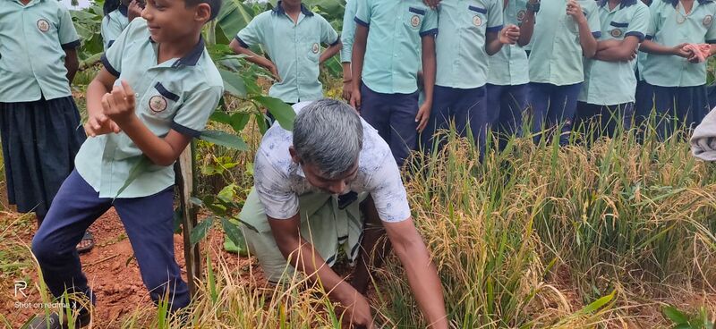 പ്രമാണം:48502 koythulsavam1.jpeg