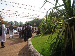 IMG 3897.resized.JPG